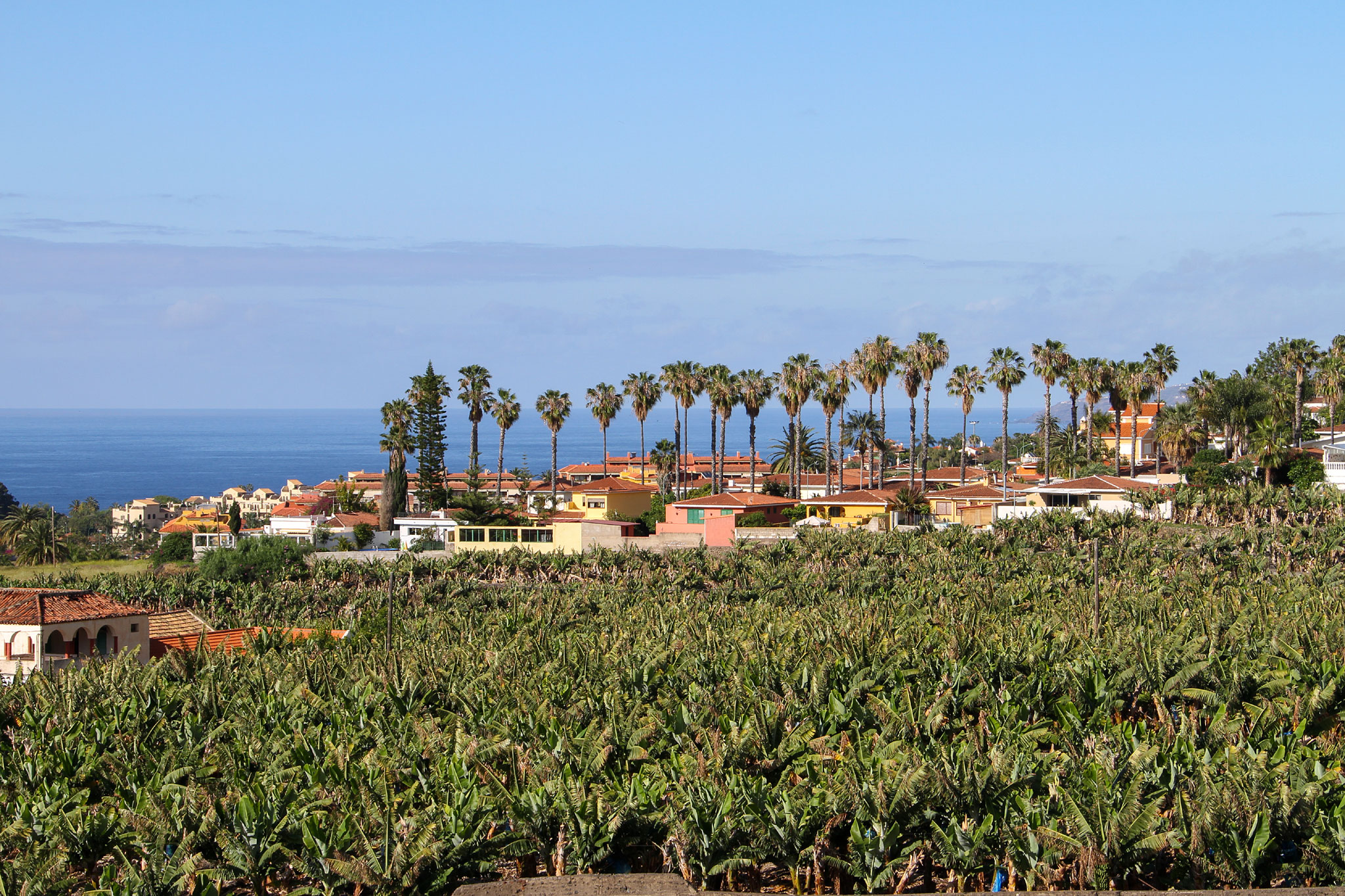 Puerto de la Cruz (Photo license: CC BY-NC 2.0)